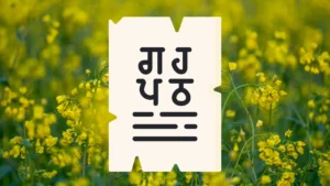 Punjabi Language Now Being Taught in China